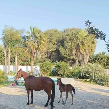 Villalinda Con Piscina